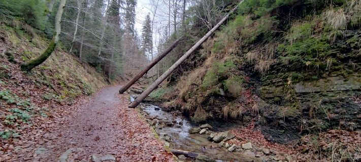 Foto de Sylwiasuchy76 a lo largo del recorrido