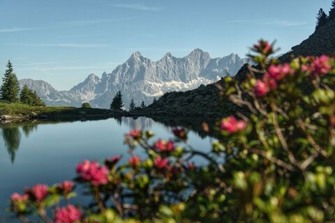 Spiegelsee mit Dachsteinblick