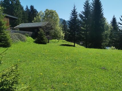 Foto von Waldläufer entlang der Tour