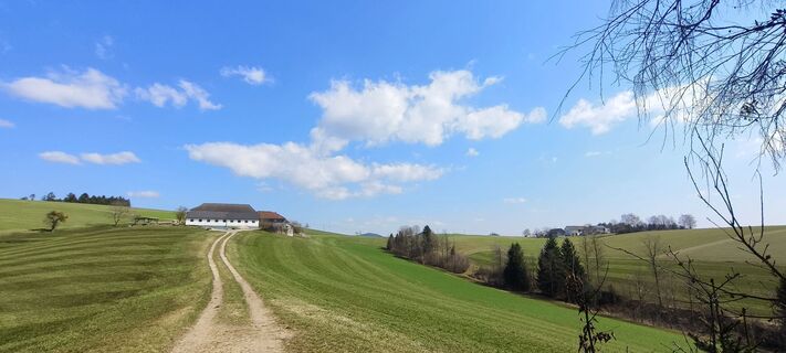 Fotografia z Sonja Enzenhofer na trase
