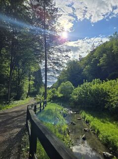 Foto von Nina Isele entlang der Tour