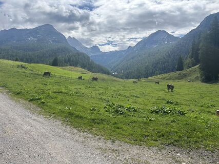 Photo de Johann Pegrin le long du parcours