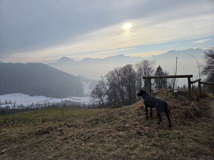 Foto von Silke S. entlang der Tour