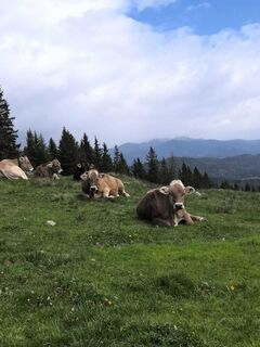 Aussicht von der Bank