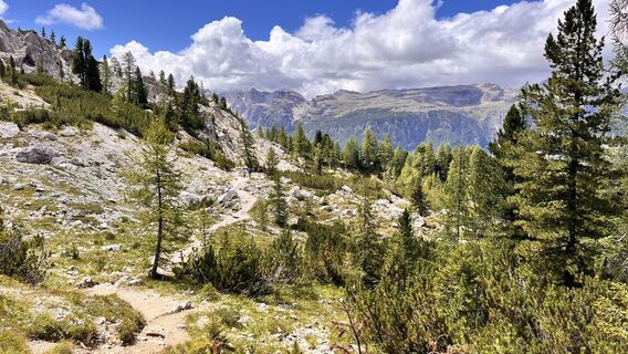 Photo de Stefano Misuraca le long du parcours