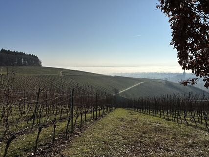 Foto da Andreas Mader lungo il tour