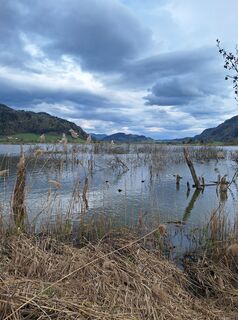 Fotografie de la Dagmar Hofer de-a lungul turului