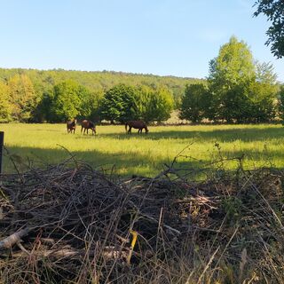 RH Wanderweg