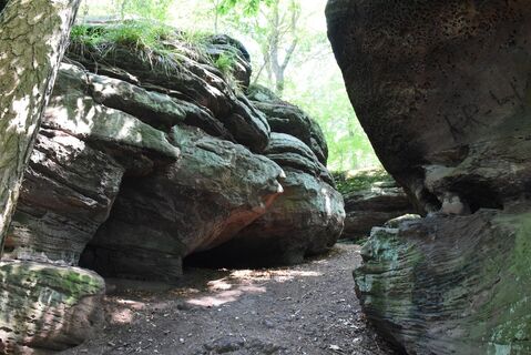 Jägersteine im Reinhäuser Wald