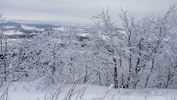 Photo from Fantom RoK along the tour