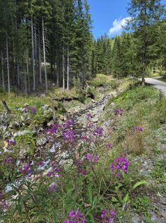 Foto de Evi Strieß a lo largo del recorrido