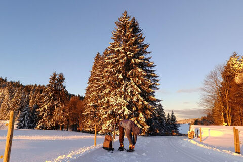 Todtmoos Schneeschuhtour Panoramatrail 8