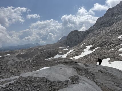 Foto da Grizzli lungo il tour