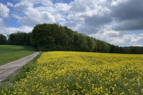 Fotografie z Gloop na trase