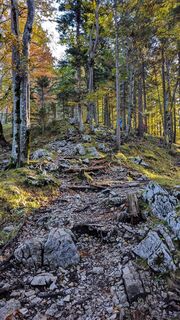 Jochberg