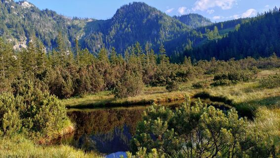 Fotografija s spletne strani István Gábor 1 na poti