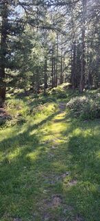 Photo de David Bubenheim le long du parcours