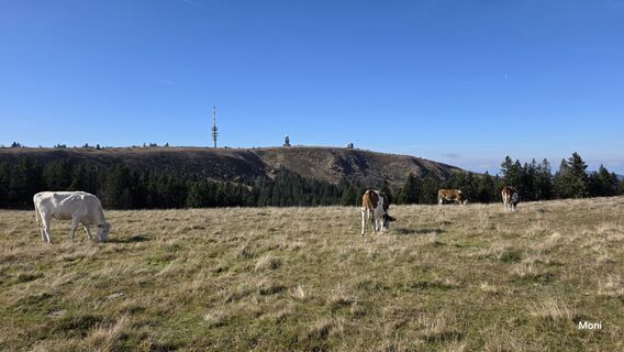 Fotografie z Moni na trase