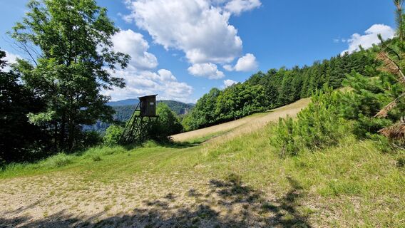 Fotografia z EP87 na trase