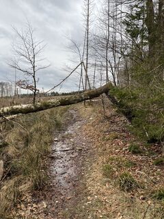 Fotografija s spletne strani Andreas na poti