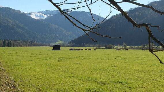 Griesbacheck im Hagertal