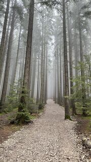 Foto von Peter biro entlang der Tour