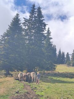 Foto von b.egger entlang der Tour