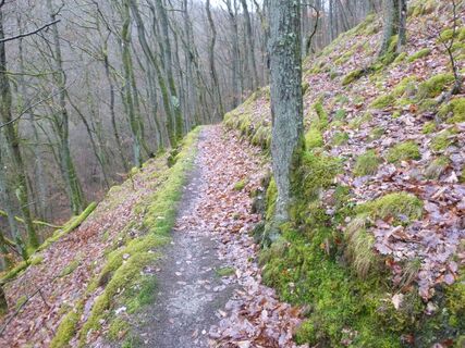 Pfad im Kautenbachtal