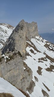 Foto von Isabella Leopolder entlang der Tour