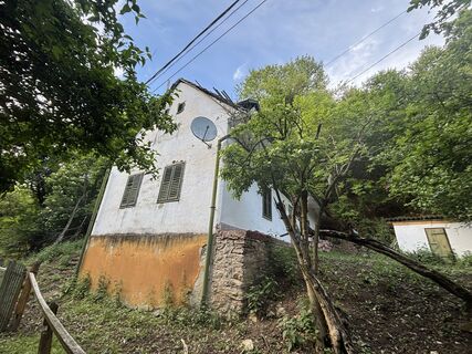 Foto de Reti Alicia a lo largo del recorrido