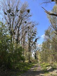 Foto von tjiong entlang der Tour
