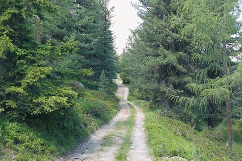 Entlang der unbefestigten Straße