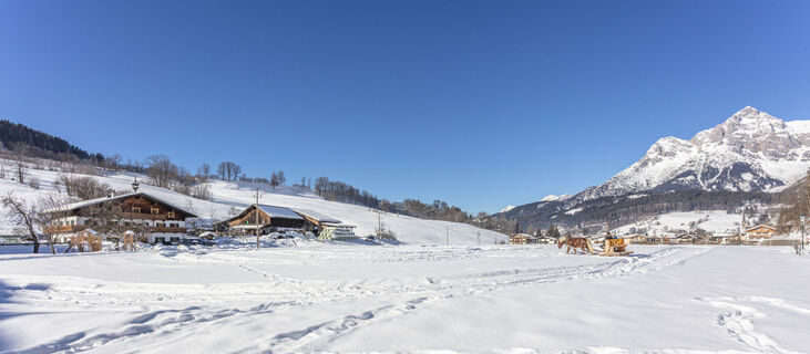Bio-Bauernhof Stegerbauer