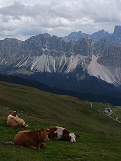 Foto fra Adam Akwen underveis på turen