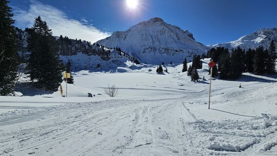 Zdjęcie z Sophiehedo wzdłuż trasy