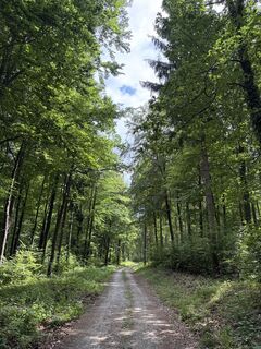 Foto von Roland Göschl entlang der Tour