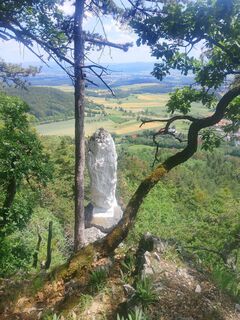 Photo de Wilhelm Dollmann le long du parcours