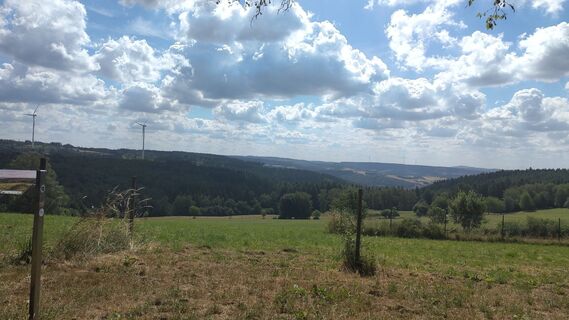 Foto von Januar Y entlang der Tour