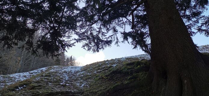Foto da Klaus Lehner lungo il tour