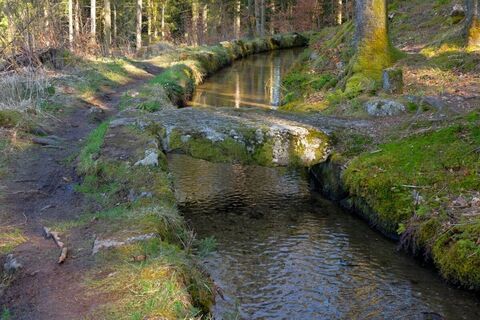 Heidenwuhr