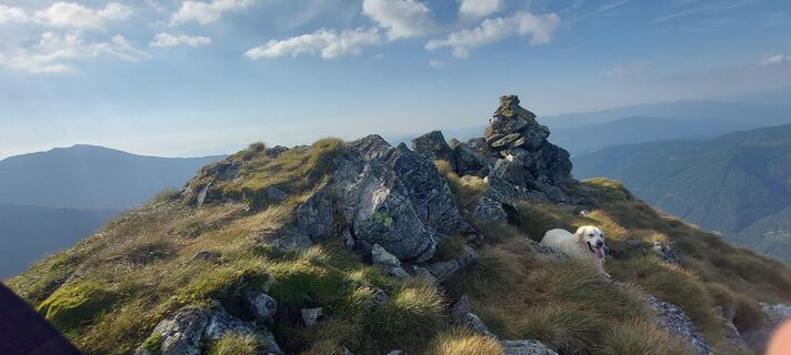 Photo from karoline lengdorfer along the tour