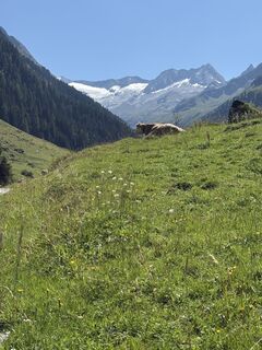 Fotografia z Samantha Voermans na trase