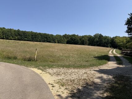 Fotografija s spletne strani Schaali na poti