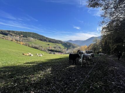 Fotografija s spletne strani Andreas Felber na poti