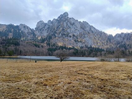 Fotografie z Carinossi na trase