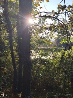 Foto von Horváth Ernő entlang der Tour