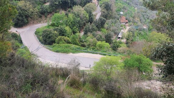 Fotografija s spletne strani alessandro gelosi na poti