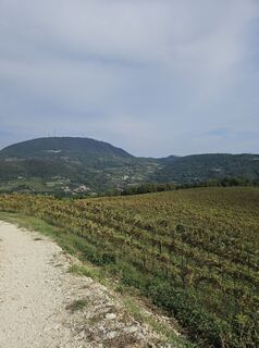 Photo de Eli le long du parcours