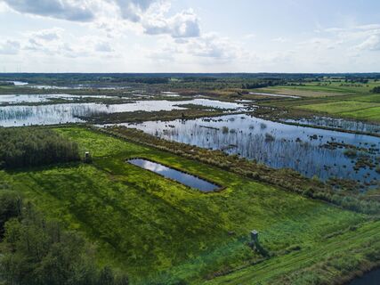 Naturschutzgebiet Theikenmeer bei Werlte