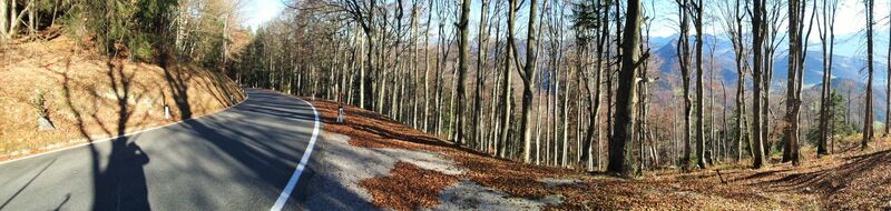 L108-Gaisberg Landesstraße (ca. 1250m ü.d.M.)